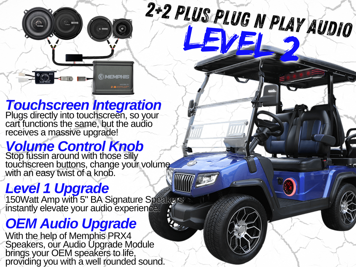 Level 2 - D5 2+2 Plus 4 Channel - Plug N Play Audio System