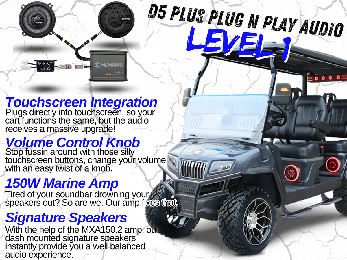 Level 1 - D5-Plus 2 Channel - Plug N Play Audio System